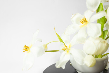 Naklejka na ściany i meble Beautiful white tulips on the white background. Ikebana arrangement, eco trends. For easter decoration at home.