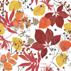 Watercolor painting seamless pattern with autumn forest leaves, berryes. Yellow, red, brown colors - 505614779
