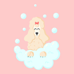 Cute dog in the foam. Poodle with bubbles. Pet care. Vector illustration in cartoon style.