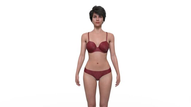 3D Render : Animation for the transformation of female body shape including  ectomorph (skinny type), mesomorph (muscular type), endomorph(heavy weight type)