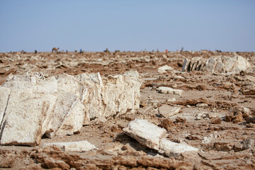 Fototapeta na wymiar Salt slabs collected at a salt collection site, Lake Asale, Danakil, Ethiopia