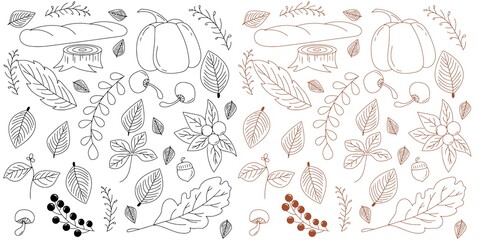 set of autumn doodleselementdesign
