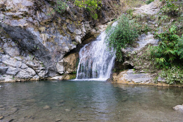 A beautiful waterfall with green pond in the middle of the forest in the outskirts of dehradun city...