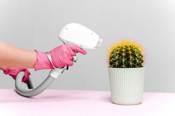 A cactus in a light green pot with yellow needles stands on a pink table, a laser hair removal device is aimed at it, the nozzle body on a gray background. Hair removal, joke, laser epilation, fun - obrazy, fototapety, plakaty