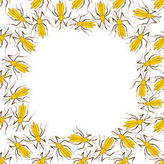 Vector frame, border from small mosquitoes, moths or beetles in doodle flat style. Simple background, decoration with insects, bloodsuckers, pests