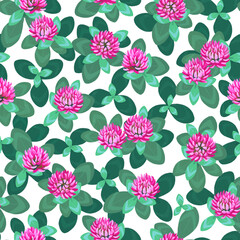 Seamless pattern design with illustrations of clover flowers - 505626561