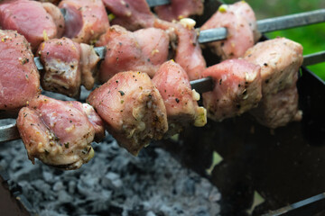 Close-up of slices of pork meat which is cooked on the grill. Shashlik on skewers.