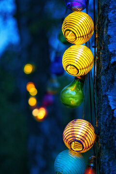 String of lights hanging on the tree. Garden party. Romantic place. Colorful light