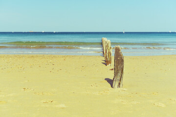 pieux en bois usés sur la plage