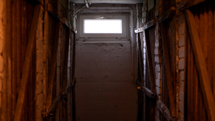 View of a dark basement with wooden doors visible