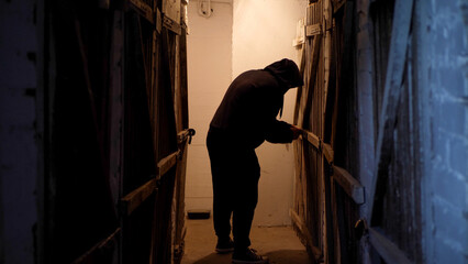 Burglar coming into a basement trying to open a door
