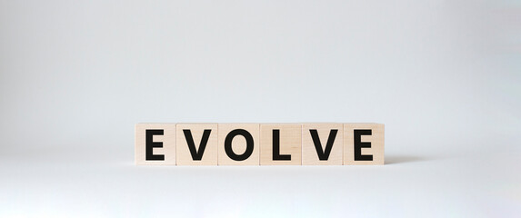 Evolve symbol. Concept word Evolve on wooden cubes. Beautiful white background. Business and Evolve...