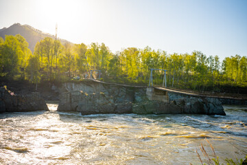Remarkable natural objects - dragon teeth - in Katun river of Altai mountains with beautiful taiga...