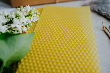 Several sheets of natural honey wax to create candles.
