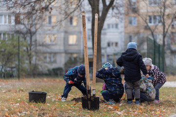 afforestation or children learn or help to planting trees outdoor