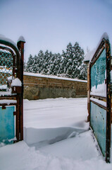 Fototapete bei efototapeten.de bestellen   