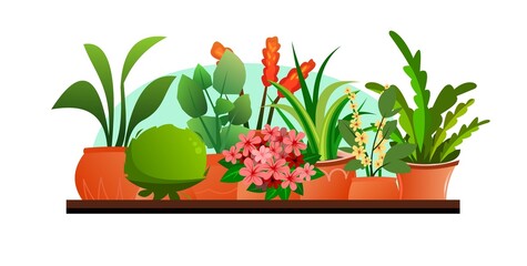 Indoor plants and flowers. Still life on the windowsill. In ceramic pots. Homemade beautiful herbs. Isolated on white background. Cartoon fun style. Vector