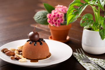 Chocolate mouse served for a snack in a studio shot