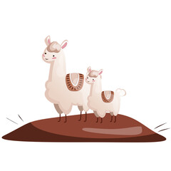 Lama mother and son stand on a hill and look into the distance. Picture for kids rooms wallpaper texture fabrics stickers
