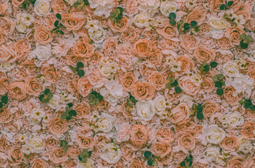 Vintage Rose for background,Blurred of sweet roses in Vintage color style on soft blur bokeh texture for background