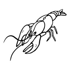 Lobster Hand-drawn outline Vector illustration in engraving style. Fresh organic seafood, crawfish, crayfish.