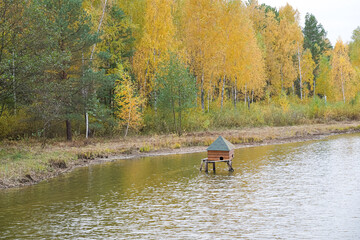Obraz na płótnie Canvas A small wooden house for an animal in the water. Autumn pond with a house for an animal against the background of autumn trees.