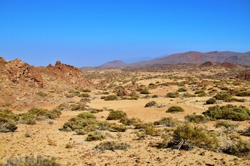 Fototapeta na wymiar desert landscape 