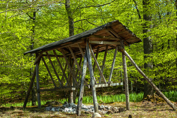 Empty pasture for animals in the forest