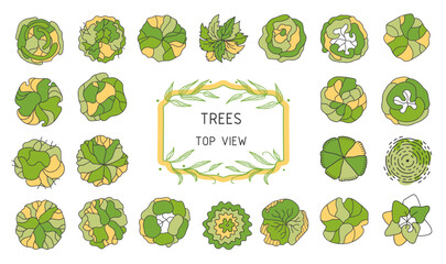 Tree for architectural floor plans. Entourage design. Various trees, bushes, and shrubs, top view for the landscape design plan. Vector illustration.