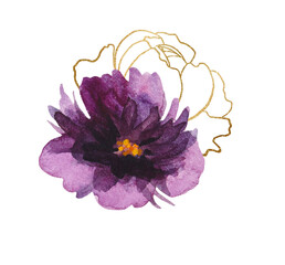 Watercolor Purple and golden peonies flowers illustration elements