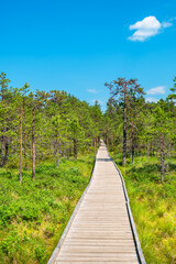 Viru Bog area. Estonia, Baltic States