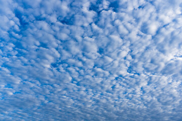 Different shapes of white clouds forming on the blue skies of Uttarakhand India .