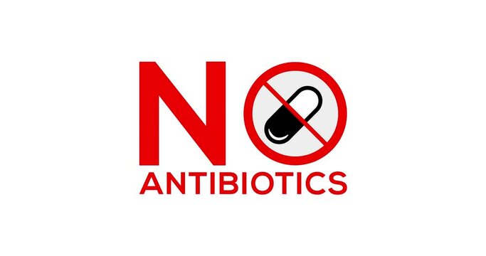 No hormones' animation, No antibiotics' food label stamp on white background
