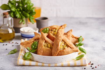 Pies with chicken, potato, onion and herbs.  Small homemade kurnik meat pies in a shape of triangle. Healthy dinner for the family. Blank space for text. © natkinzu