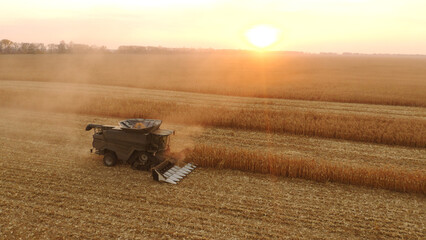 Combine harvester harvesting ripe corn on a sunny day. Farm machinery working on the field....