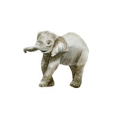 Fototapeta na wymiar Baby Elephant on white background. Wild animal.