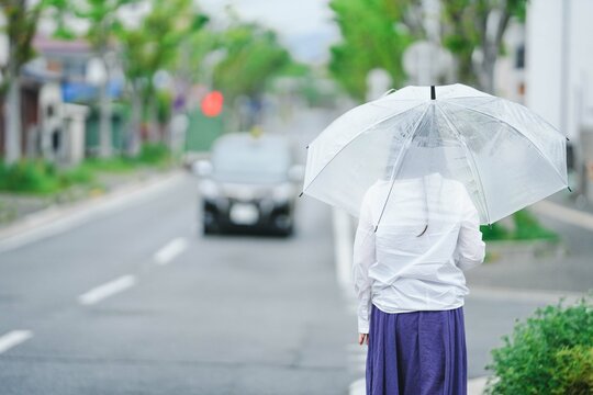 傘をさす女性の後ろ姿