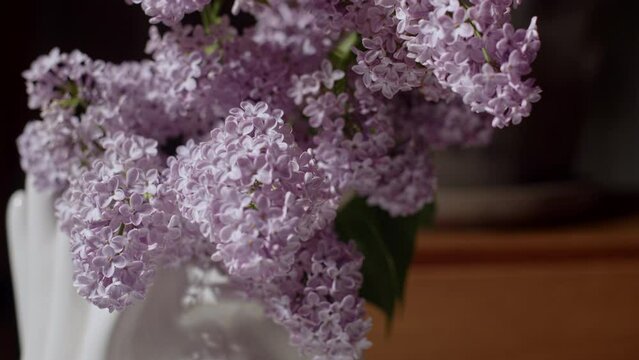lilac lilac bloosom bloom black background white vase