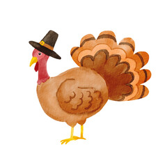 Watercolor thanksgiving turkey. Cute turkey in a pilgrim hat. Childish character isolated on white - obrazy, fototapety, plakaty