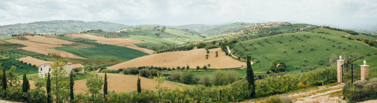 Italian traditional countryside panoramic view with hills and cypress trees