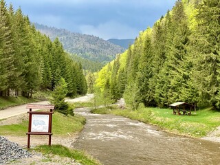 mountain river in the mountains