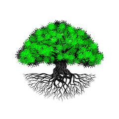 oak tree illustration. with a circular shape.