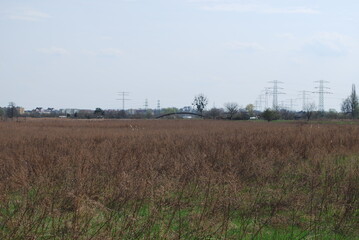 agricultural landscape, plain, monotonous, clear day © TK_Office