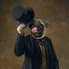 Contemporary art collage. Man wearing old-fashioned costume headed by pug dog head on dark vintage...
