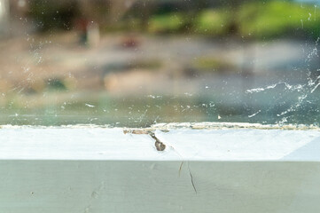 old wooden window frame