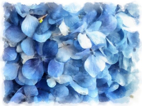 blue hydrangea flower watercolor