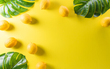 Summer composition made from lemon or lime, and monstera leaf on pastel yellow background. Fruit minimal concept. Flat lay, top view, copy space.