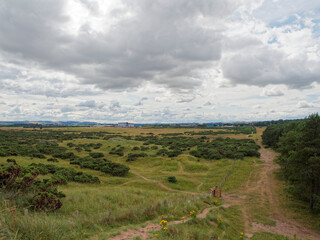 Fototapeta premium Looking back from the Top of the Dunes of Montrose Beach towards the Industrial Estate and Sewage Works, with sandy paths crossing the Heath.