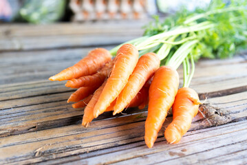 fresh crop of carrot bunch tie beam on wood. Bunch of fresh organic carrots on wooden background Fresh vegetables - carrots contain anti-oxidants.