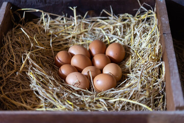 Brown eggs on rice straw. Easter Eggs in a woven bamboo basket